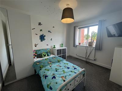 Picture 15